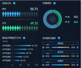 京東數科開發區商業街客流洞察大屏UI設計（保密）
